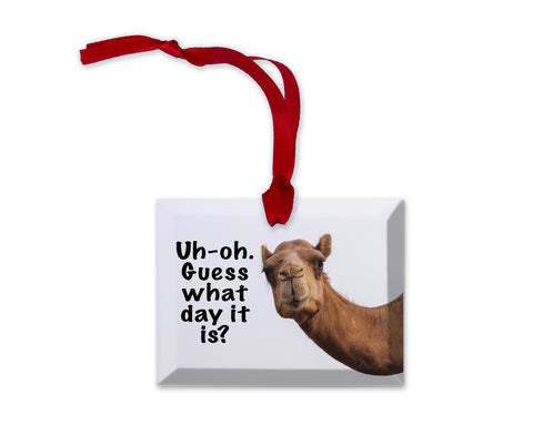 Glass Uh oh Guess what Day it is Funny Camel Christmas Ornament