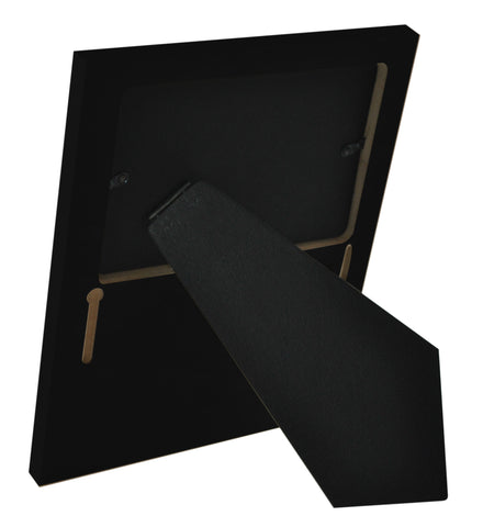 Ph.D. Definition Picture Frame