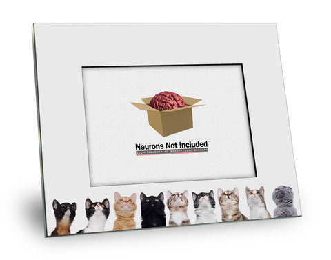 Personalized Cats Looking Up Picture Frame - Holds 5x7 Photo-Overall size 8x10