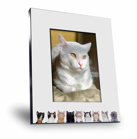 Personalized Cats Looking Up Picture Frame - Holds 5x7 Photo-Overall size 8x10