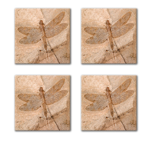Fossil Dragonfly Images - 4-Piece Square Ceramic Tile Coaster Set - Caddy Included