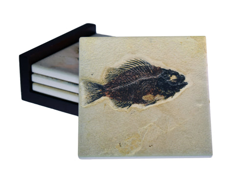 Fossil Fish Images - 4-Piece Ceramic Tile  Coaster Set - Caddy Included