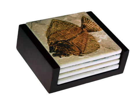 Fossil Fish Images - 4-Piece Ceramic Tile  Coaster Set - Caddy Included