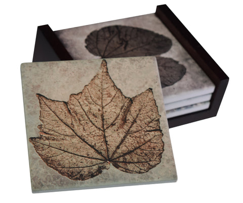 Fossil Plant Images - 4-Piece Ceramic Tile Coaster Set - Caddy Included