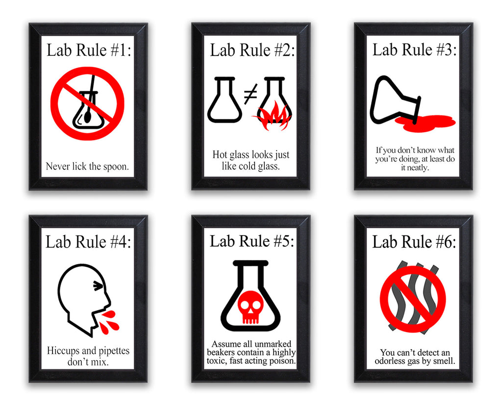 Lab Rules Typography Wall Plaque Set - 6 Plaques – Neurons Not Included™