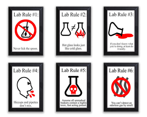 Lab Rules Typography  6 Piece Wall Plaque Set