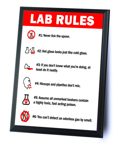 Lab Rules #1 through #6 Typography Wall Plaque - 9" x 12"