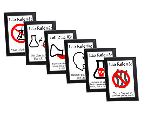 Lab Rules Typography  6 Piece Wall Plaque Set