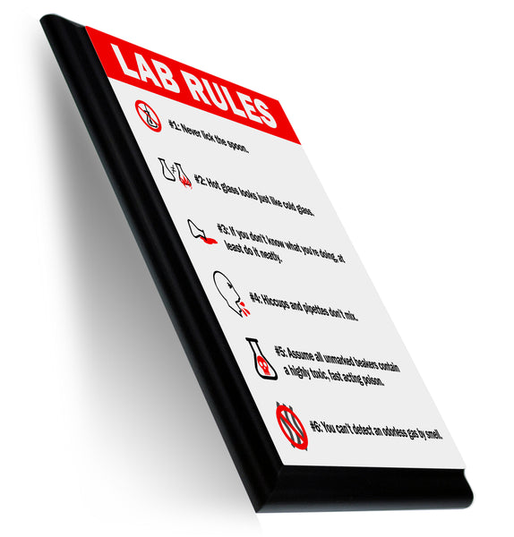 Lab Rules Funny Typography Wall Plaque 9x12 Neurons Not Included™