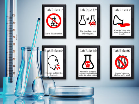 Lab Rules Typography  6 Piece Wall Plaque Set