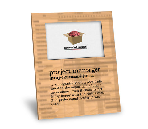 Project Manager Definition Picture Frame
