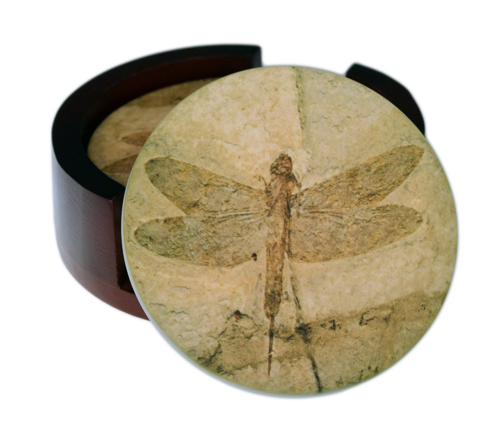 Fossil Dragonfly Images - 4-Piece Round Ceramic Coaster Set - Caddy Included