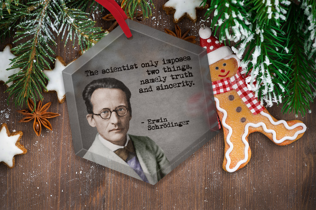 Schrodinger Machine Schrodinger Scientist