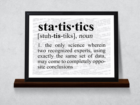Statistics Definition Funny Typography Wall Plaque