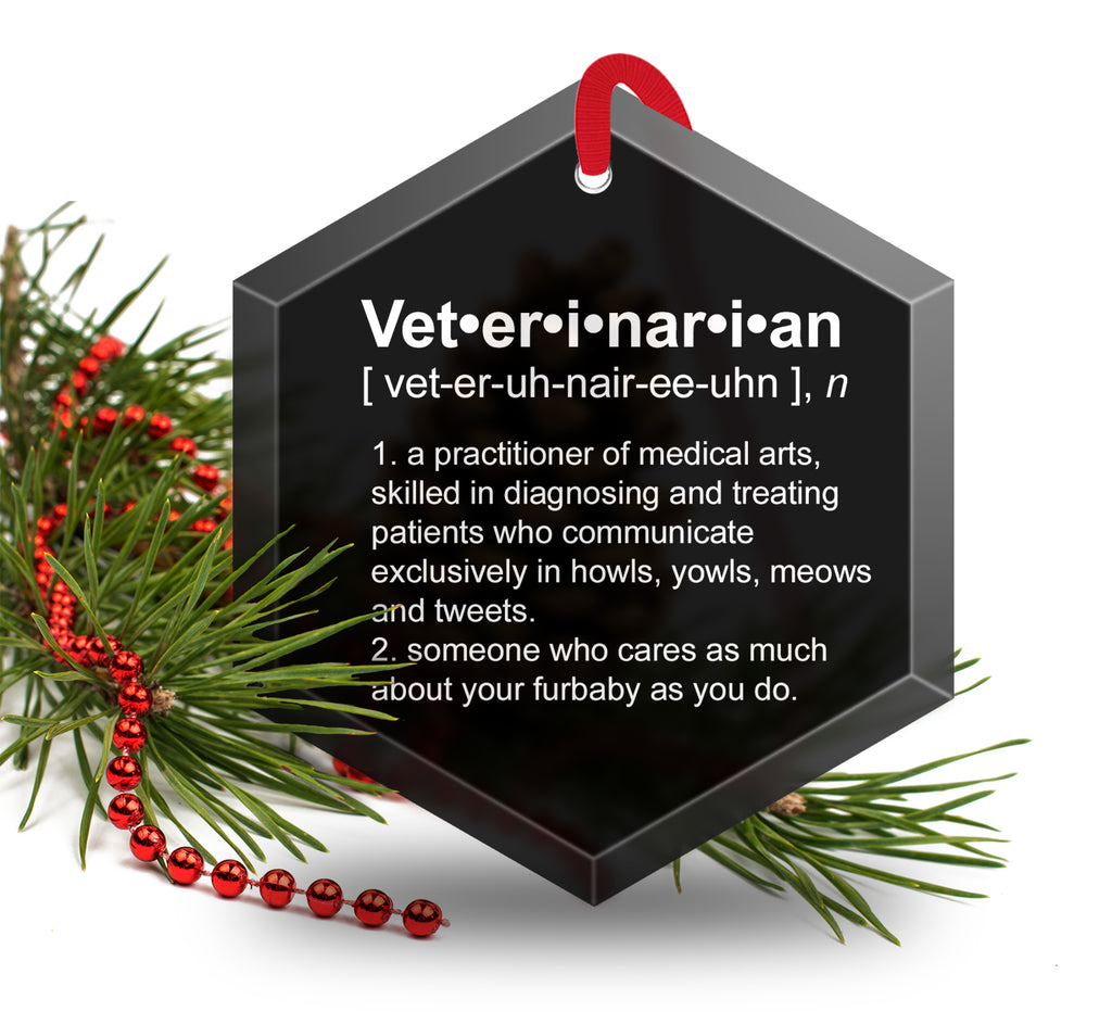Veterinarian Definition Funny Glass Christmas Ornament
