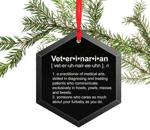 Veterinarian Definition Funny Glass Christmas Ornament